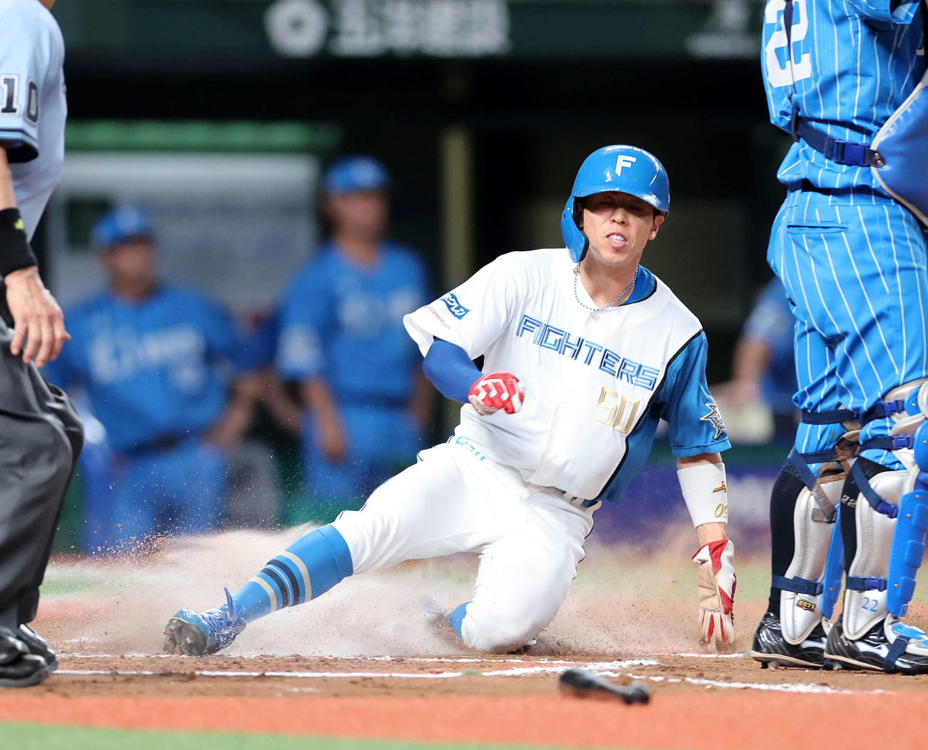 日本ハム五十幡亮汰（2023年8月27日撮影）
