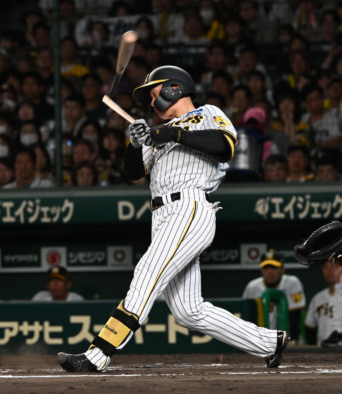 阪神対DeNA 6回裏阪神無死一塁、森下の折れたバットがスタンドに飛び込む（撮影・前岡正明）