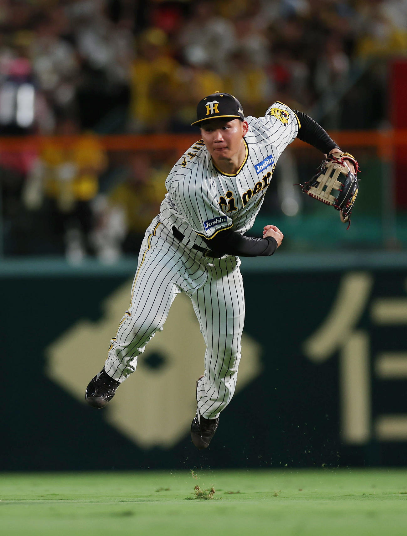 阪神対DeNA 7回表DeNA2死一、二塁、宮崎の右前打を本塁へ送球し、二走大和の生還を阻止する森下（撮影・前田充）