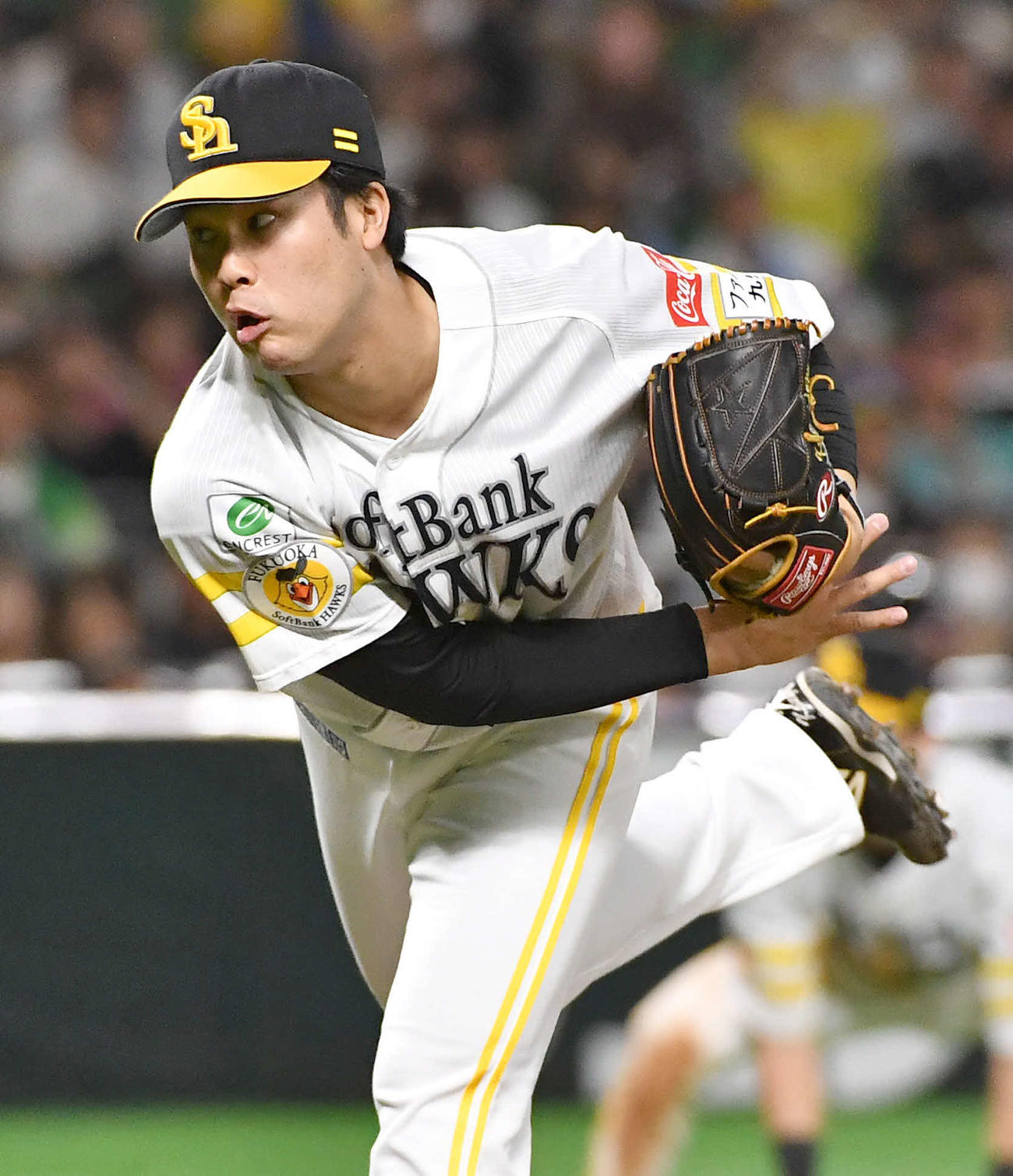 ソフトバンク藤井皓哉（2023年9月10日撮影）