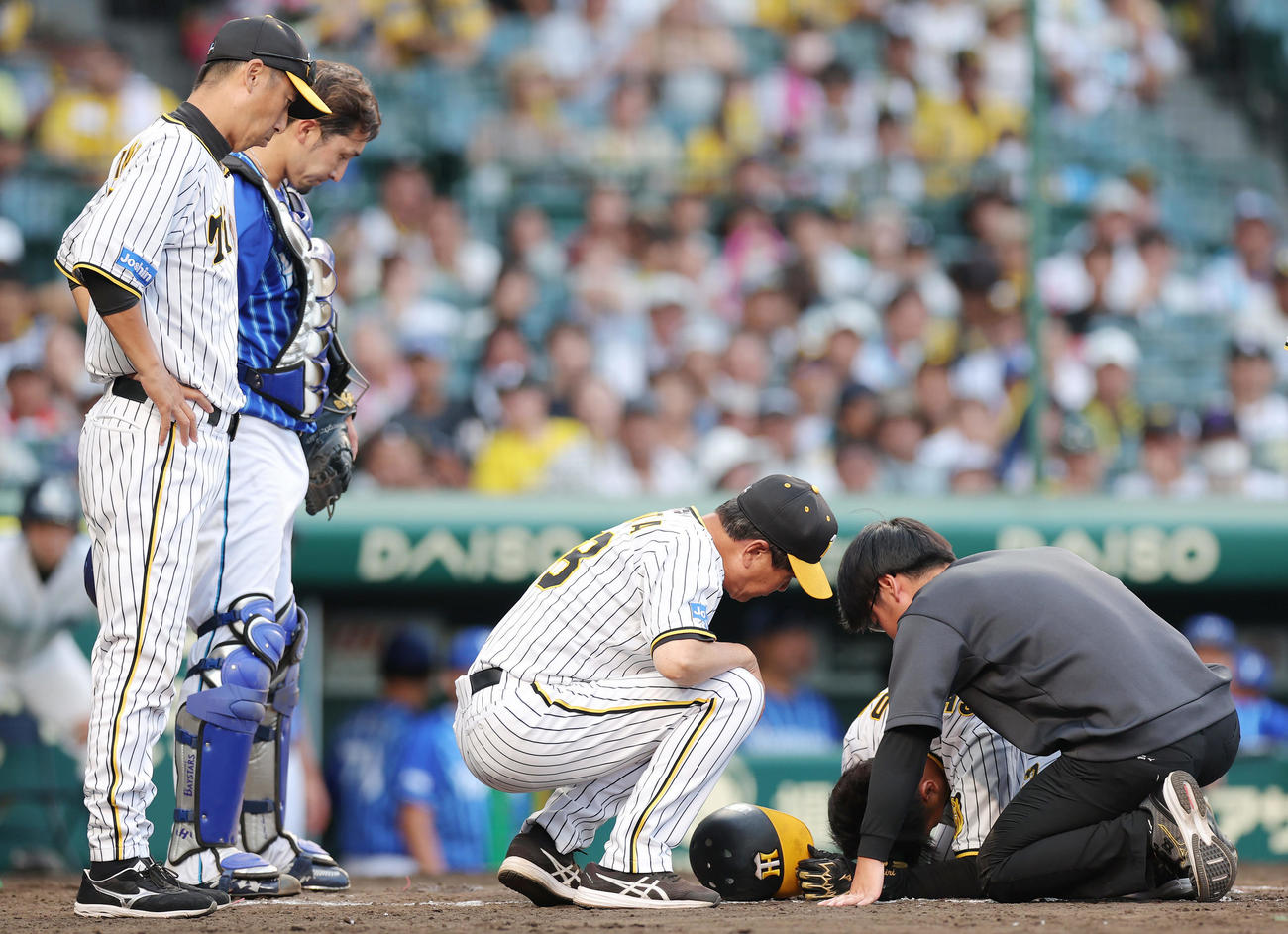 阪神対DeNA 9回裏阪神2死、頭部に死球を受けうずくまる島田（右から2人目）（撮影・前田充）