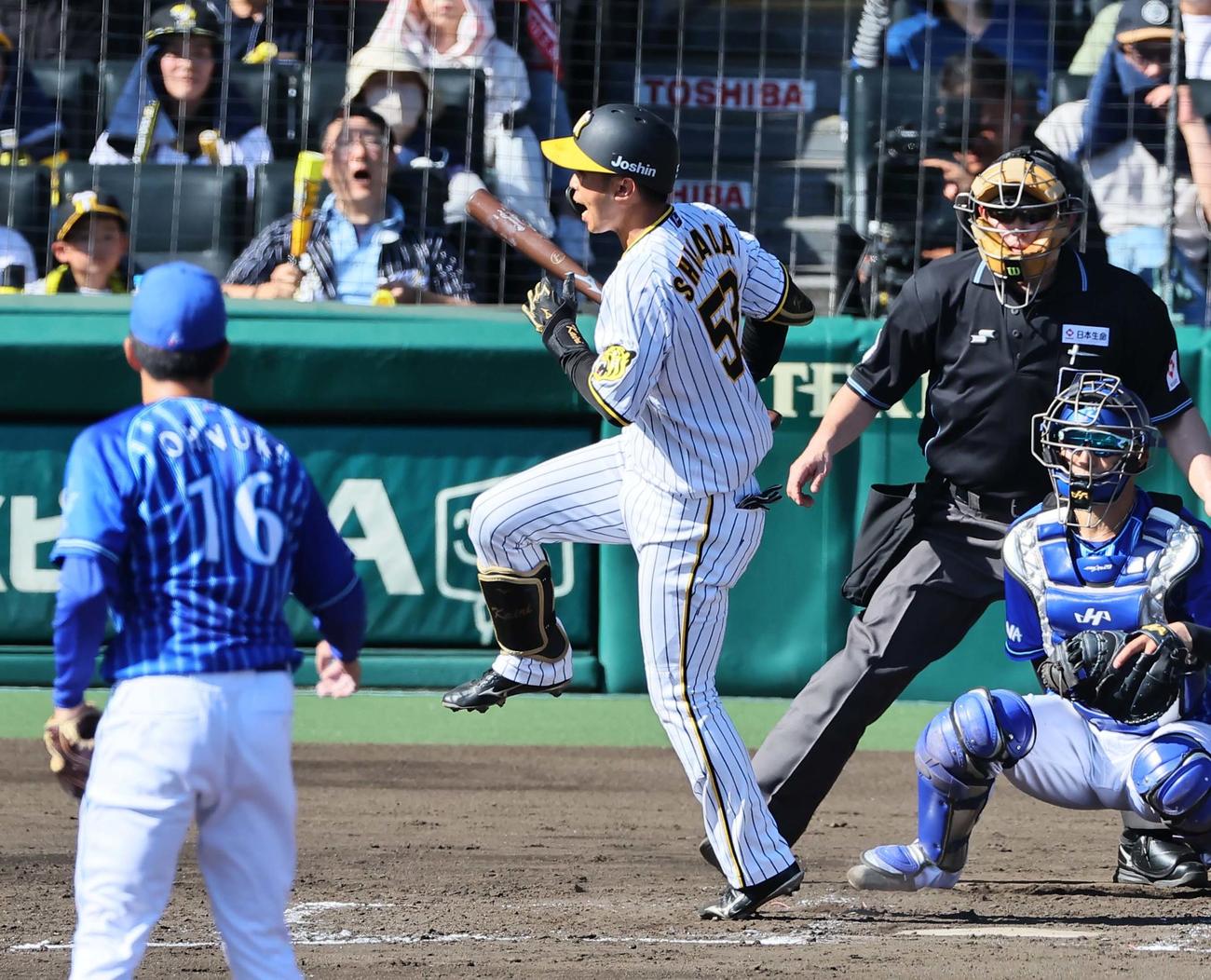 阪神対DeNA 3回裏阪神無死、島田は死球を受ける（撮影・上田博志）