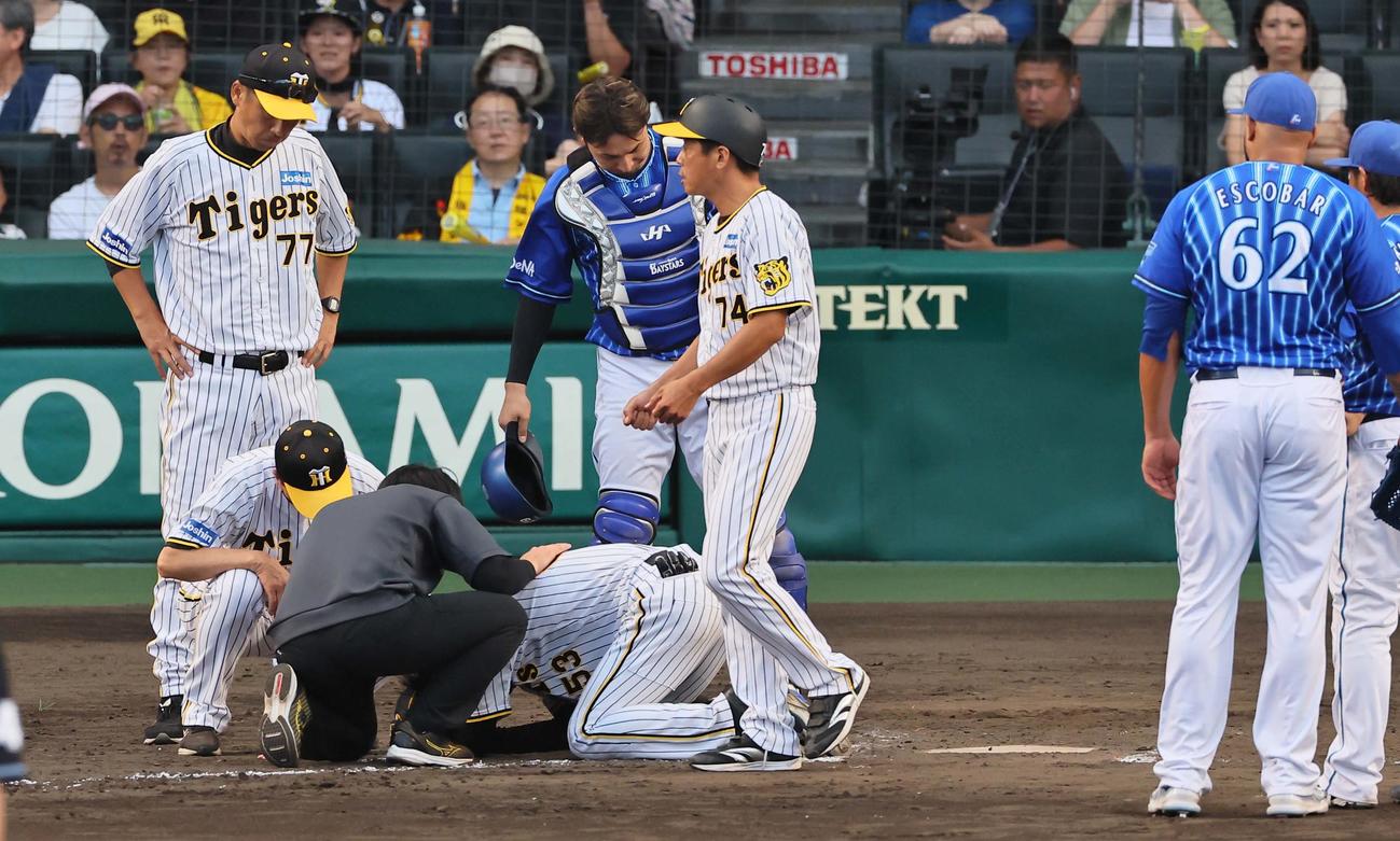 阪神対DeNA 9回裏阪神2死、頭部死球を受けた島田はグラウンドに倒れ込む（撮影・上田博志）