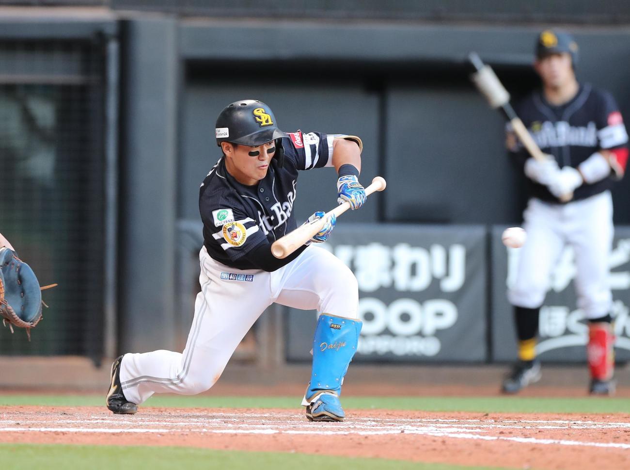 日本ハム対ソフトバンク　8回表ソフトバンク1死三塁、スクイズを決める野村大（撮影・黒川智章）