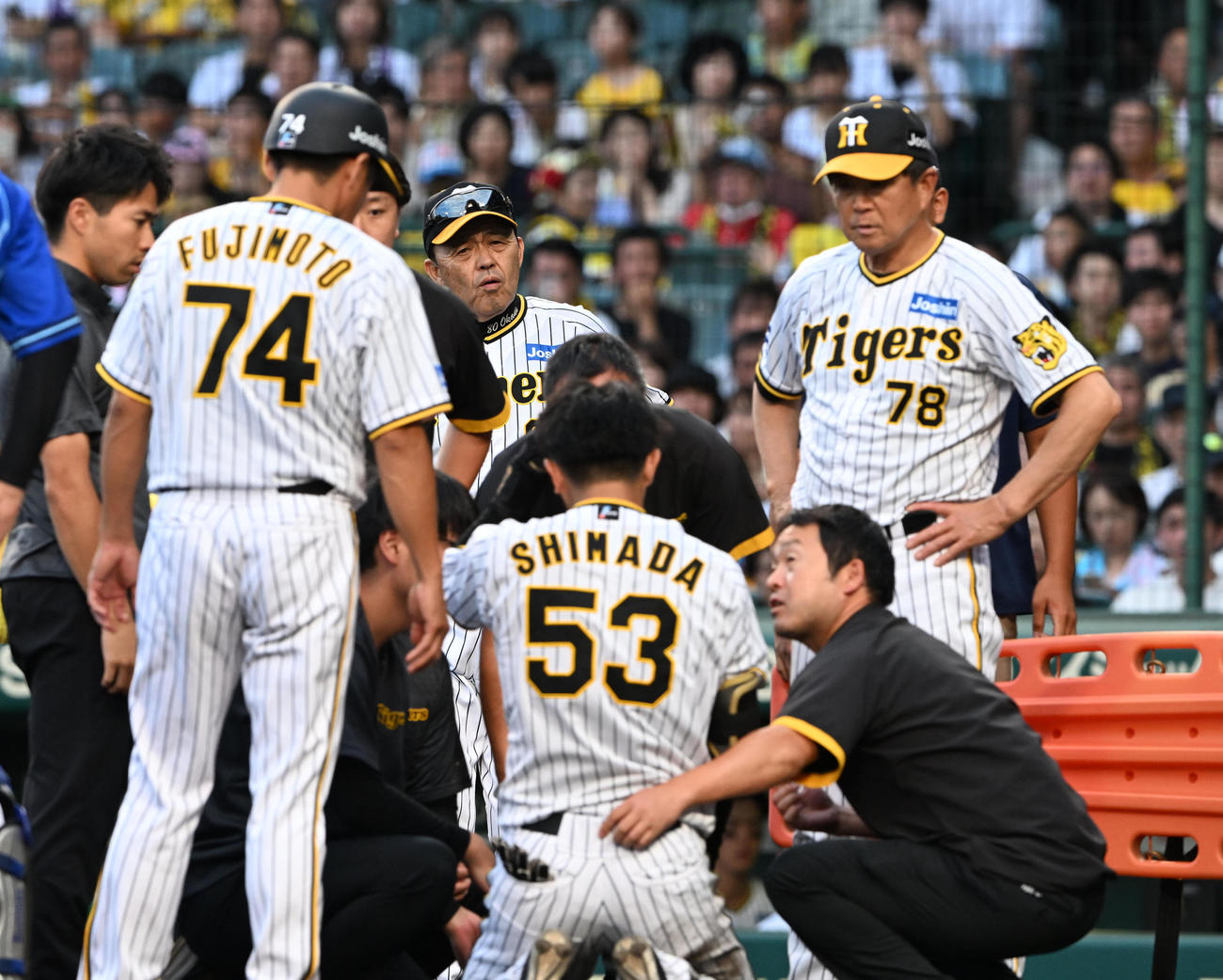 阪神対DeNA 9回裏阪神2死、死球を受けた島田（背中）を心配そうに見守る岡田監督（撮影・前岡正明）