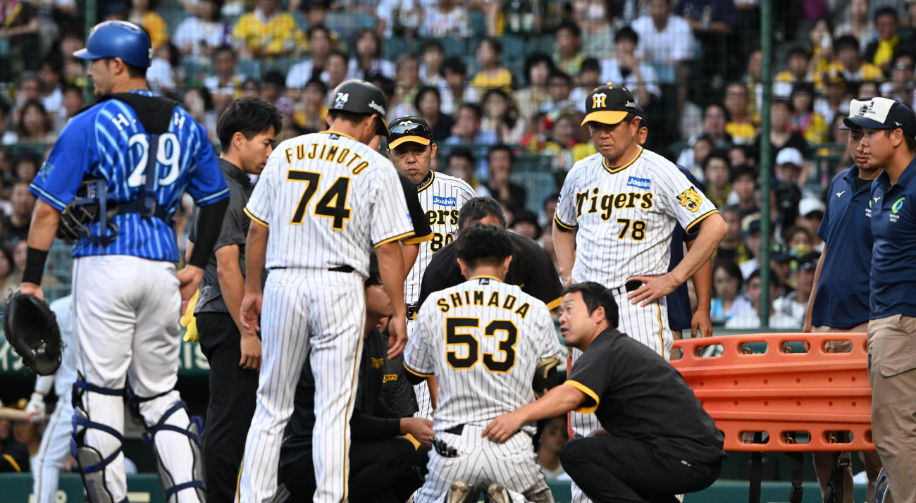 阪神対DeNA 9回裏阪神2死、死球を受けた島田（背中）を心配そうに見守る岡田監督（撮影・前岡正明）