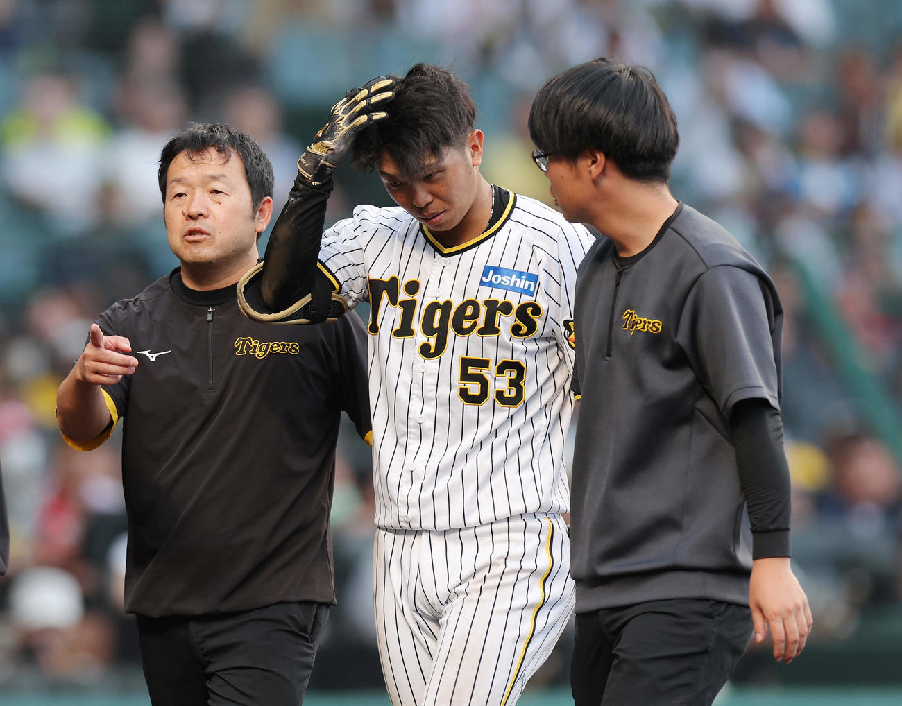 阪神対DeNA 9回裏阪神2死、頭部に死球を受けベンチへ下がる島田（中央）（撮影・前田充）