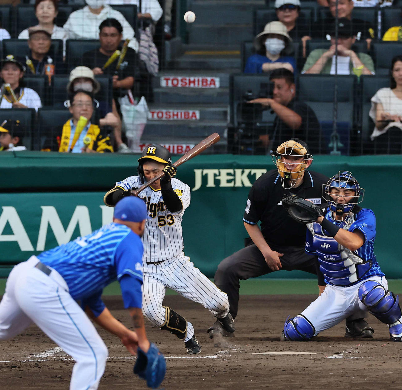 阪神対DeNA 9回裏阪神2死、島田はエスコバーから頭部死球を受ける（撮影・上田博志）