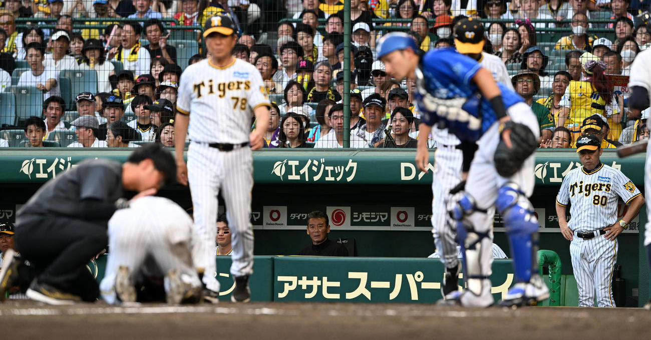 阪神対DeNA 9回裏阪神2死、死球を受けた島田（左）を心配そうに見つめる岡田監督（撮影・前岡正明）