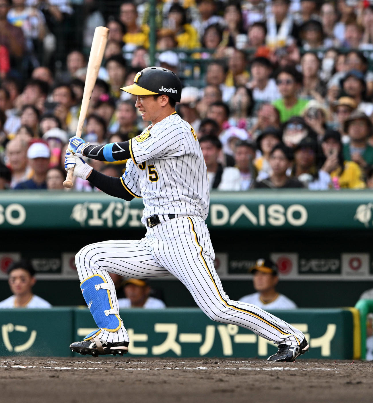 阪神対DeNA 8回裏阪神1死一、二塁、代打の近本は二ゴロ併殺に倒れる（撮影・前岡正明）