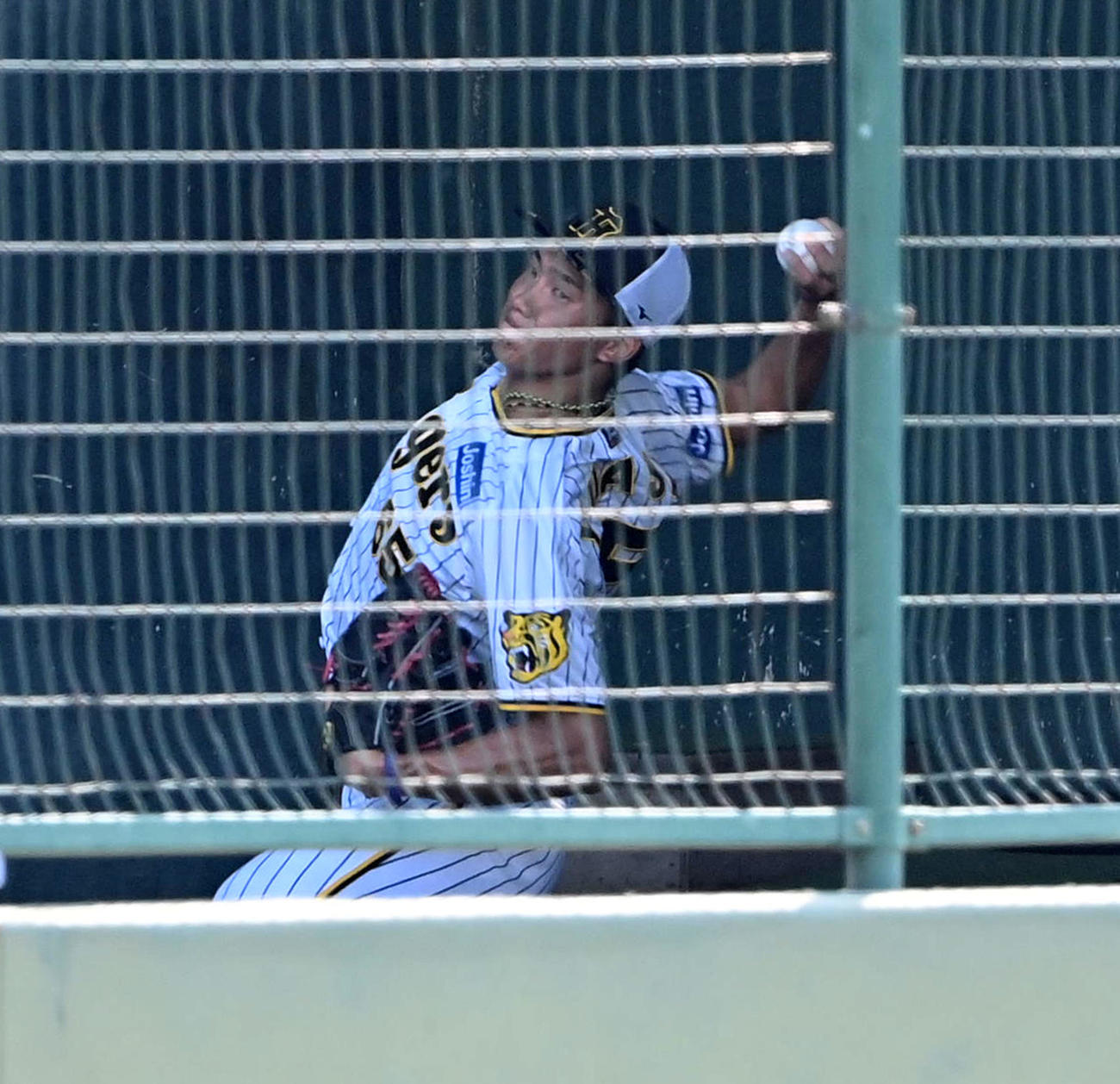 阪神対オリックス　ブルペンで投球練習を行う湯浅（撮影・前岡正明）