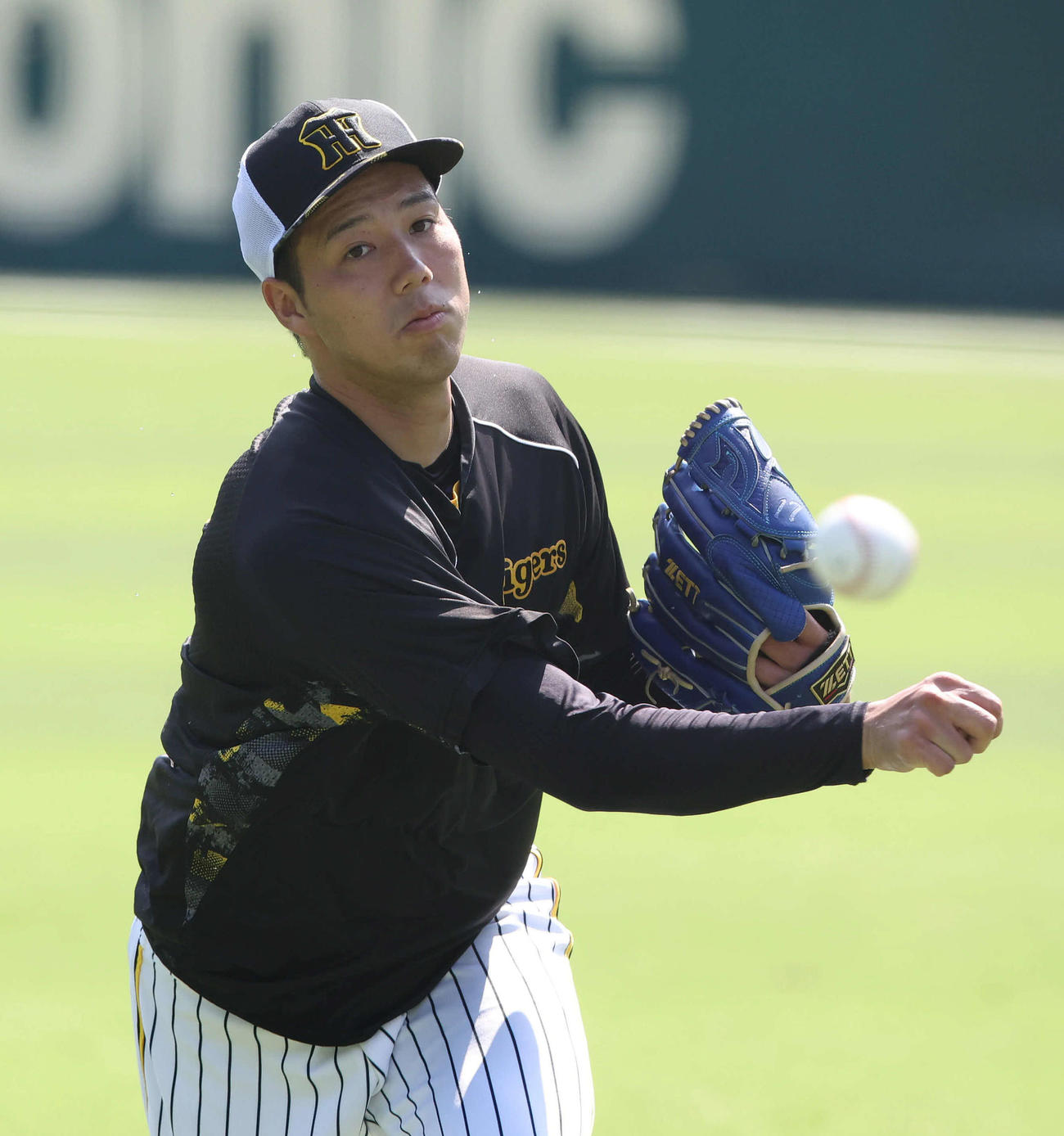 投手指名練習でキャッチボールする阪神青柳（撮影・白石智彦）