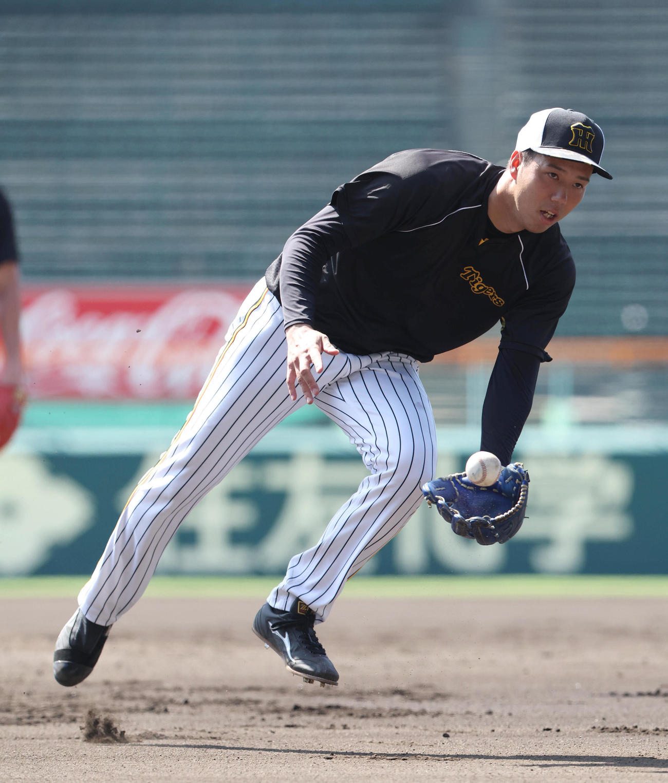 投内連携でグラブトスする阪神青柳（撮影・白石智彦）