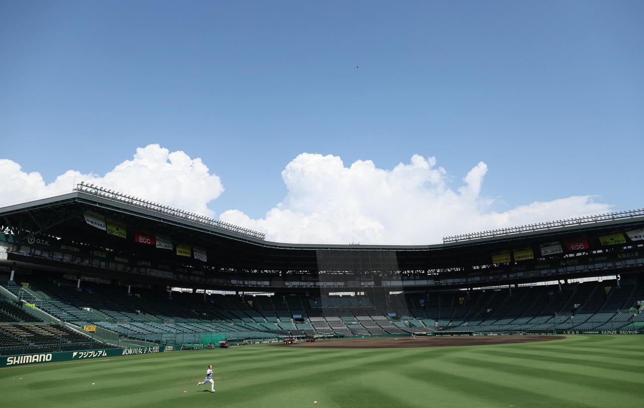 快晴の甲子園でダッシュする阪神青柳（撮影・白石智彦）