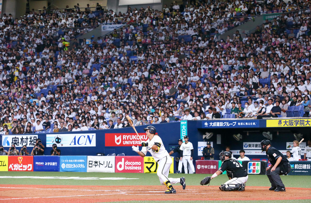 オリックス対ロッテ　8回裏オリックス1死、杉本は左前打を放つ（撮影・上山淳一）