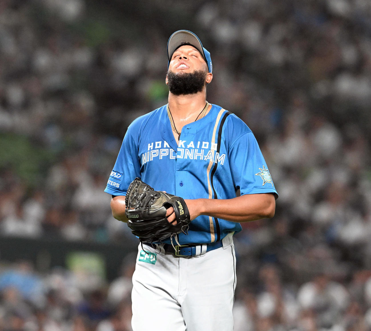 西武対日本ハム　6回からマウンドに上がった日本ハムのロドリゲスは4失点し点を仰ぐ（撮影・たえ見朱実）