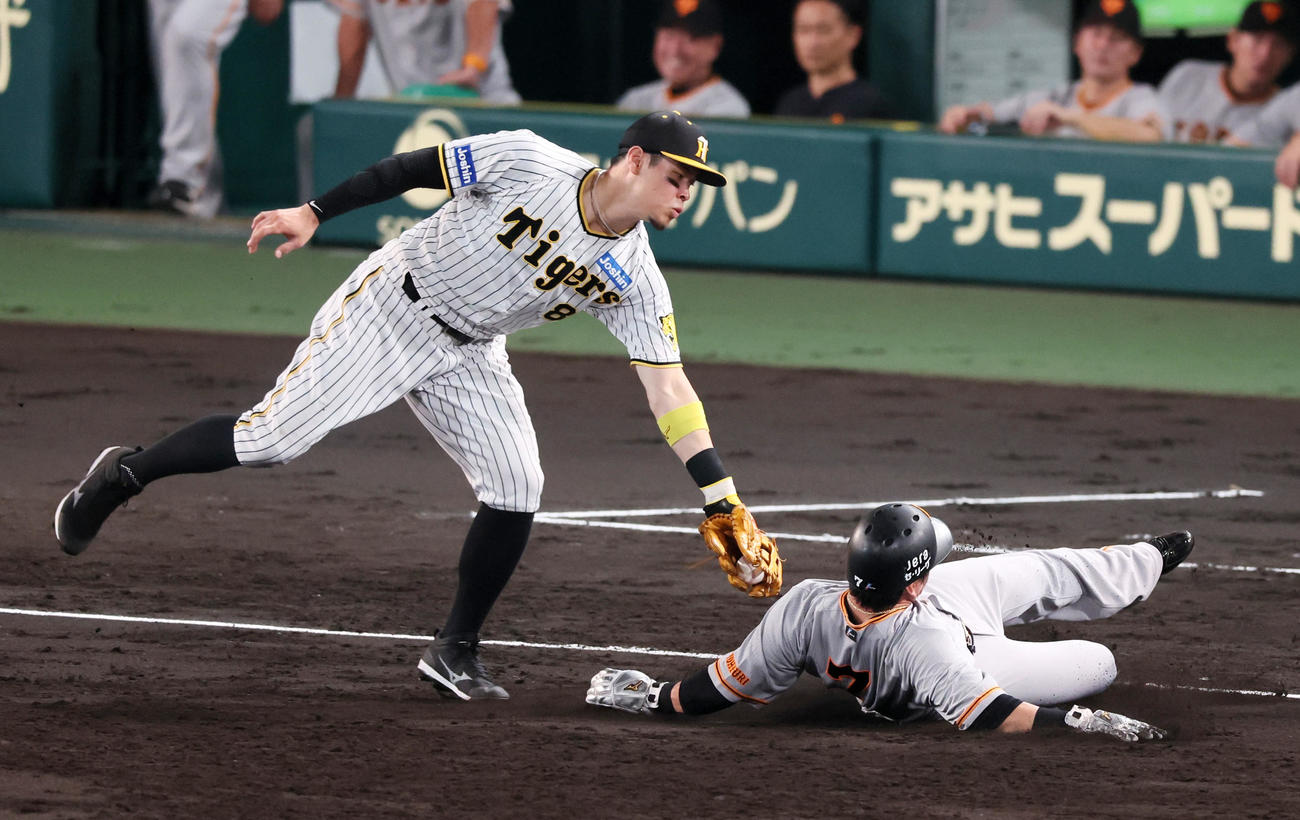 阪神対巨人　3回表巨人無死二塁、二塁走者長野は三塁盗塁失敗。野手は佐藤輝（撮影・加藤哉）
