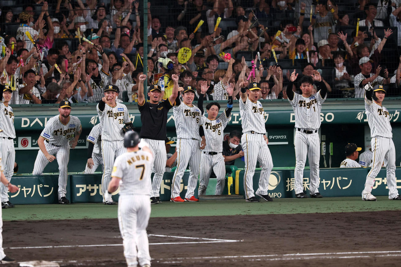 8回裏阪神2死二、三塁、ノイジーの中適時打で逆転に成功しベンチで喜ぶナイン（撮影・加藤哉）
