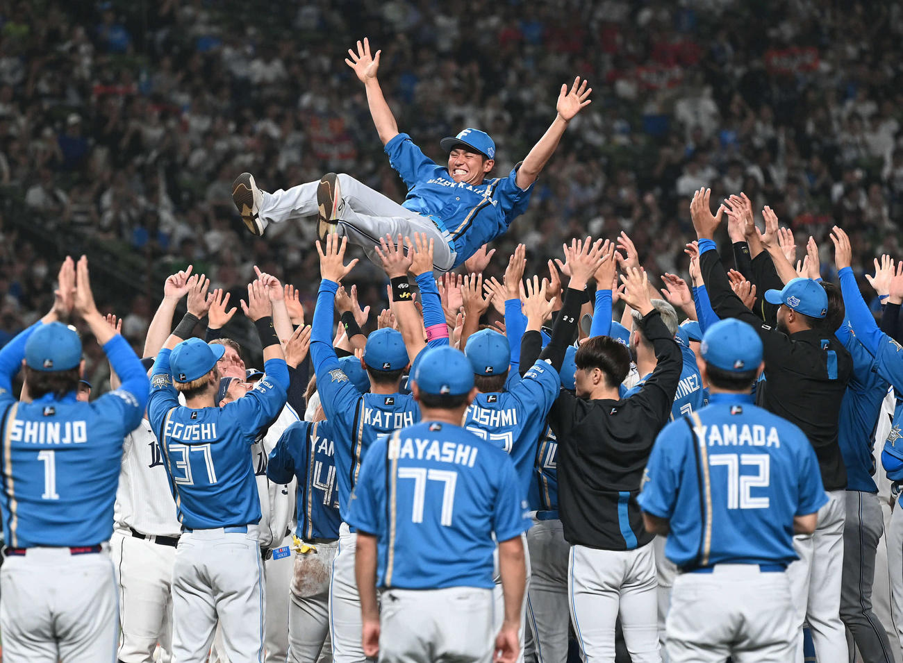 西武対日本ハム　両チームの選手にに胴上げされる日本ハム木村（撮影・たえ見朱実）