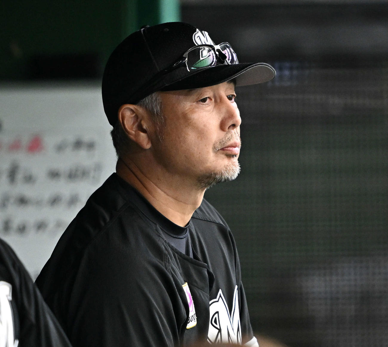 ベンチから戦況を見守るロッテ吉井監督（2023年9月撮影）