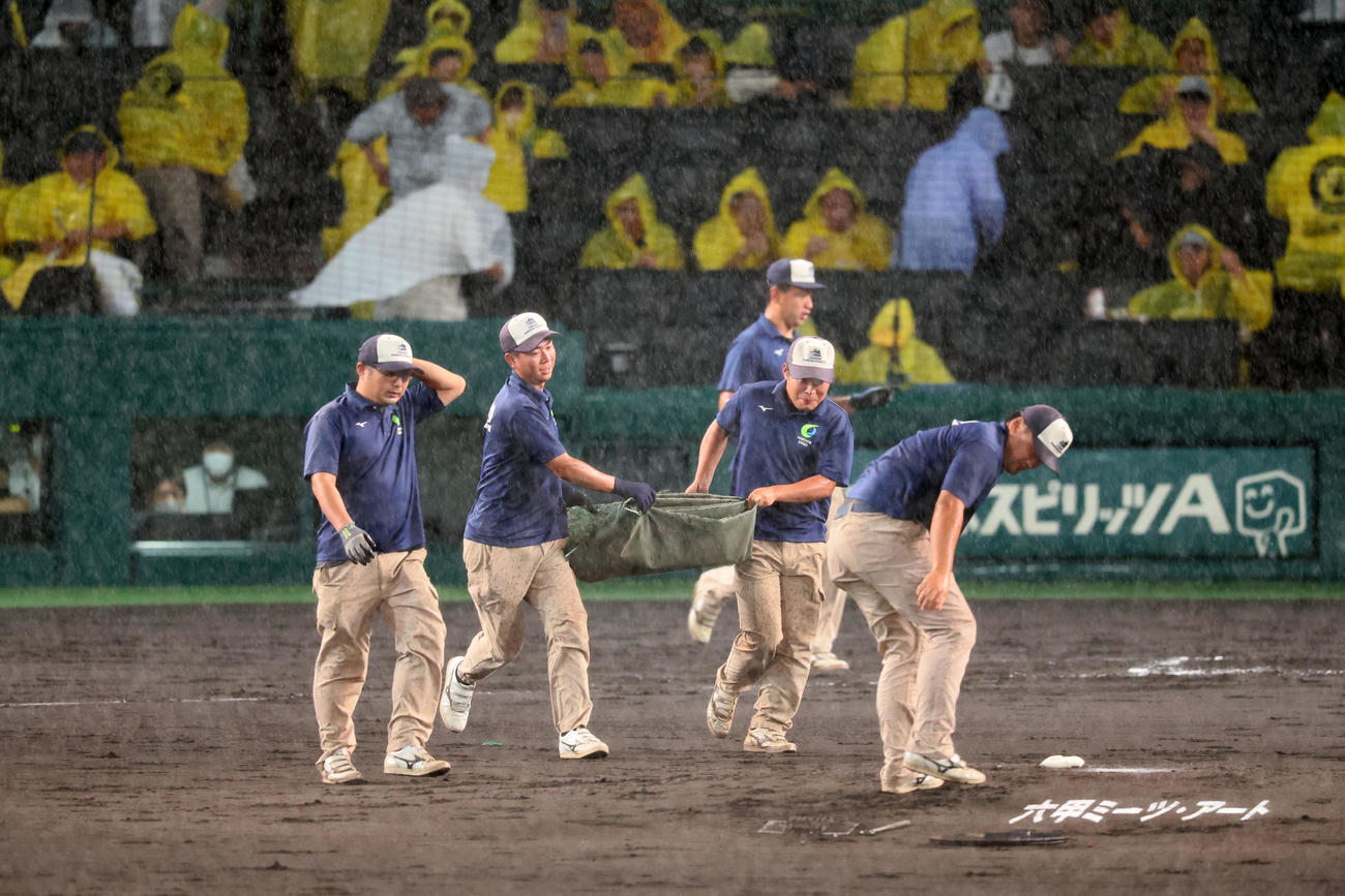 阪神対巨人　3回裏阪神無死、降雨中断となりマウンドへシートをかける阪神園芸の職員たち（撮影・加藤哉）