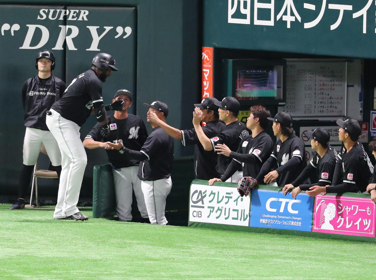 ソフトバンク対ロッテ　1回表ロッテ2死、ポランコは右越えに先制本塁打を放ちベンチのナインとハイタッチ（撮影・梅根麻紀）