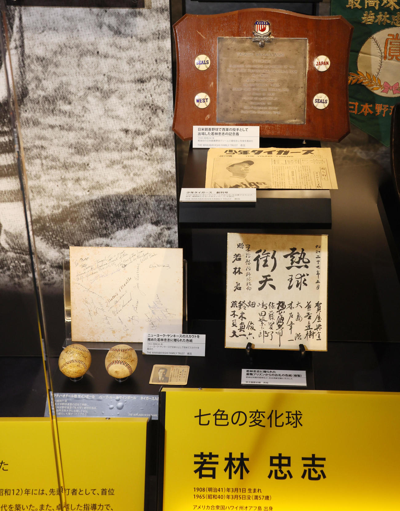 新たに甲子園歴史館へ寄贈された若林忠志氏の史料（撮影・加藤哉）