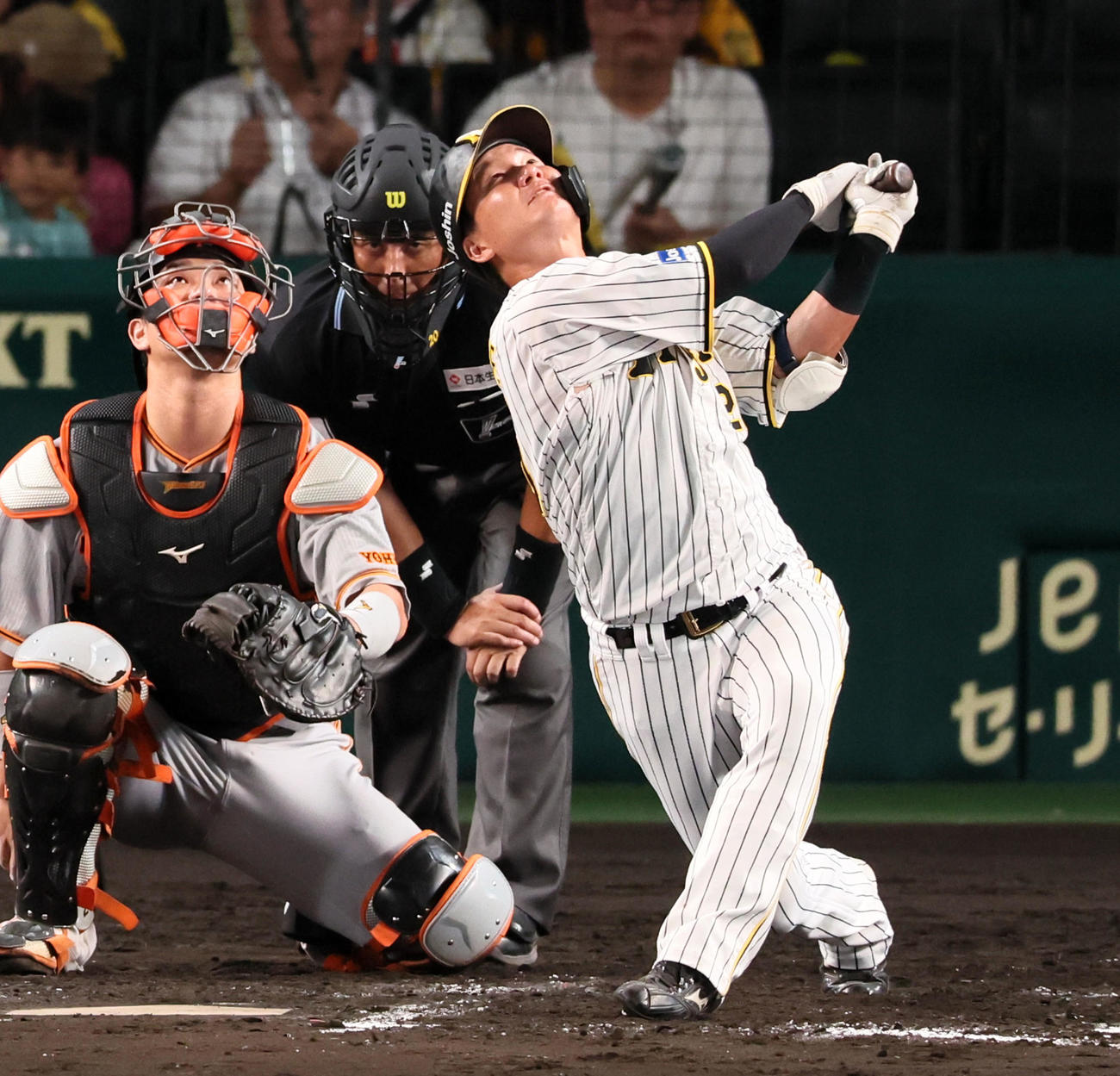 阪神対巨人　8回裏阪神無死、代打渡辺諒は捕邪飛を打ち上げる（撮影・加藤哉）