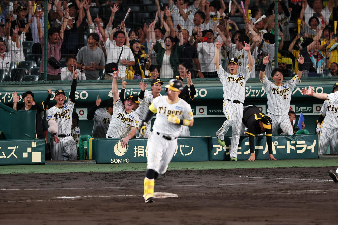 阪神対巨人　9回裏阪神無死二塁、佐藤輝の右越え2点本塁打に喜ぶベンチのナイン（撮影・加藤哉）