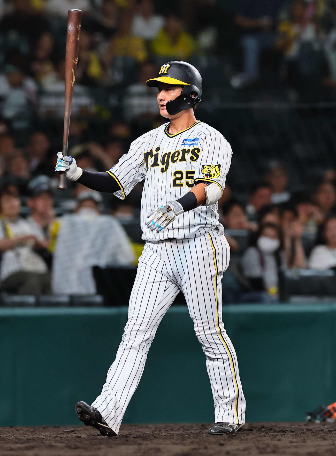阪神対巨人　8回裏阪神無死、代打の渡辺諒は捕邪飛に倒れる（撮影・上田博志）