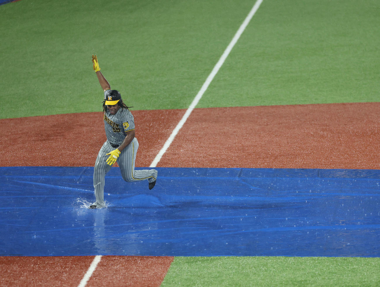 ヤクルト対阪神　雨天中止となり、阪神ミエセスはシートで転ばないように走る（撮影・井上学）