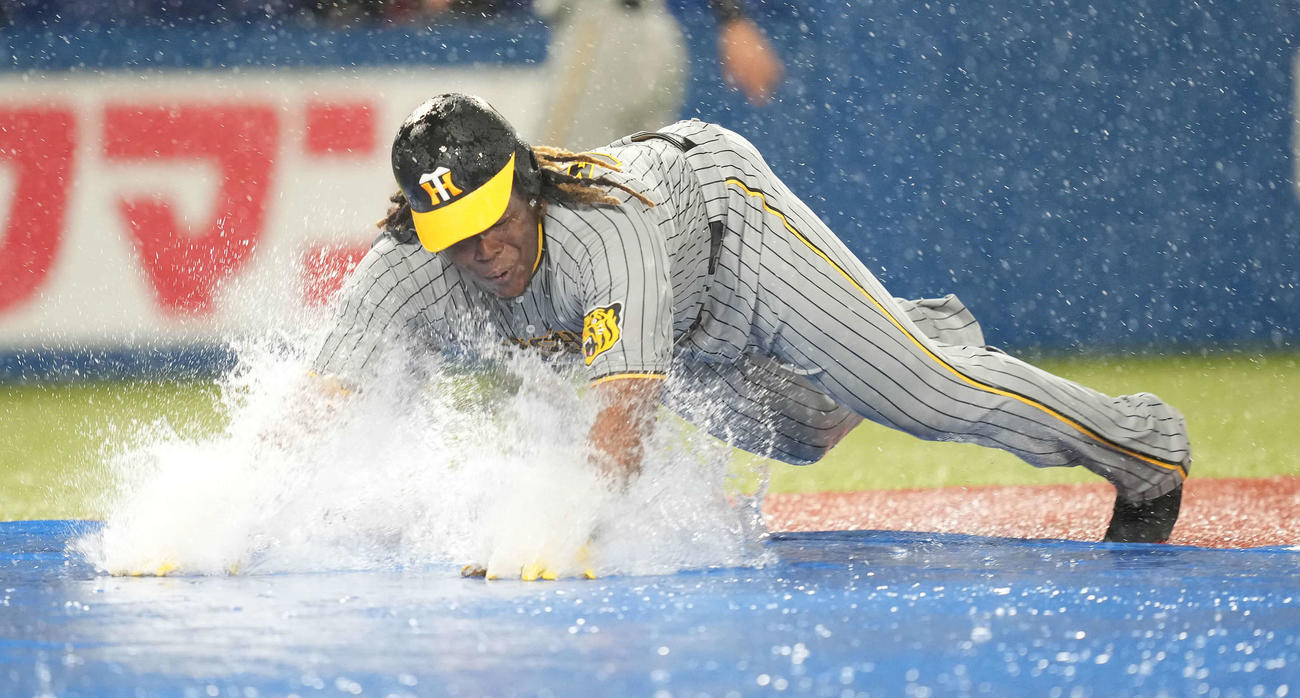 雨天中止となり、本塁へヘッドスライディングする阪神ミエセス（撮影・鈴木みどり）