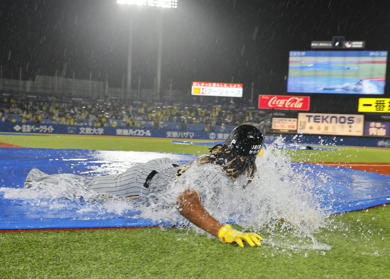 ヤクルト対阪神　試合が中止になり、ダイブする阪神ミエセス（撮影・藤尾明華）