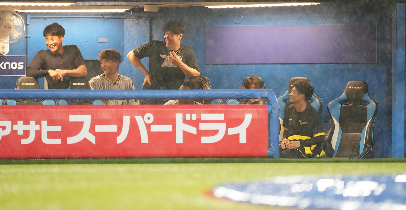 ヤクルト対阪神　試合前に大雨が降る中、ベンチで笑顔の佐藤輝（中央）ら阪神ナイン（撮影・鈴木みどり）