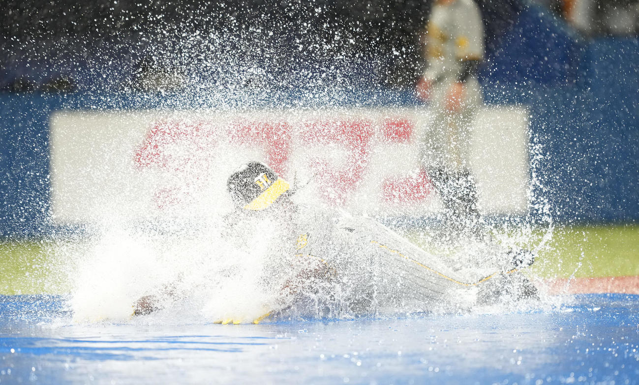 雨天中止となり、本塁へヘッドスライディングする阪神ミエセス（撮影・鈴木みどり）
