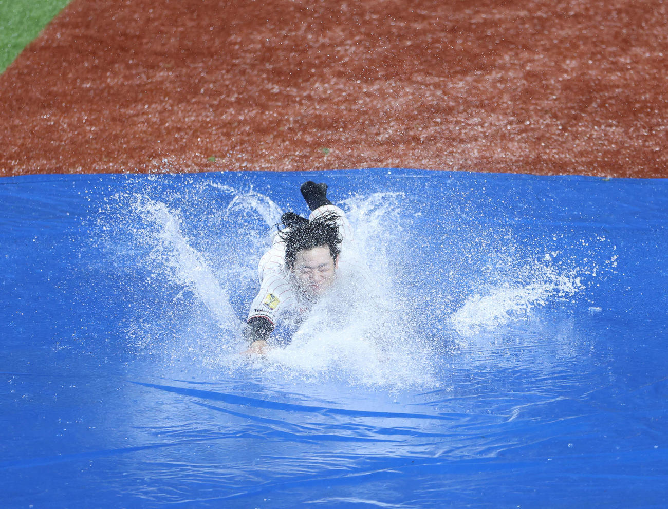 ヤクルト対阪神　雨天中止となり、本塁へヘッドスライディングするヤクルト長岡（撮影・井上学）