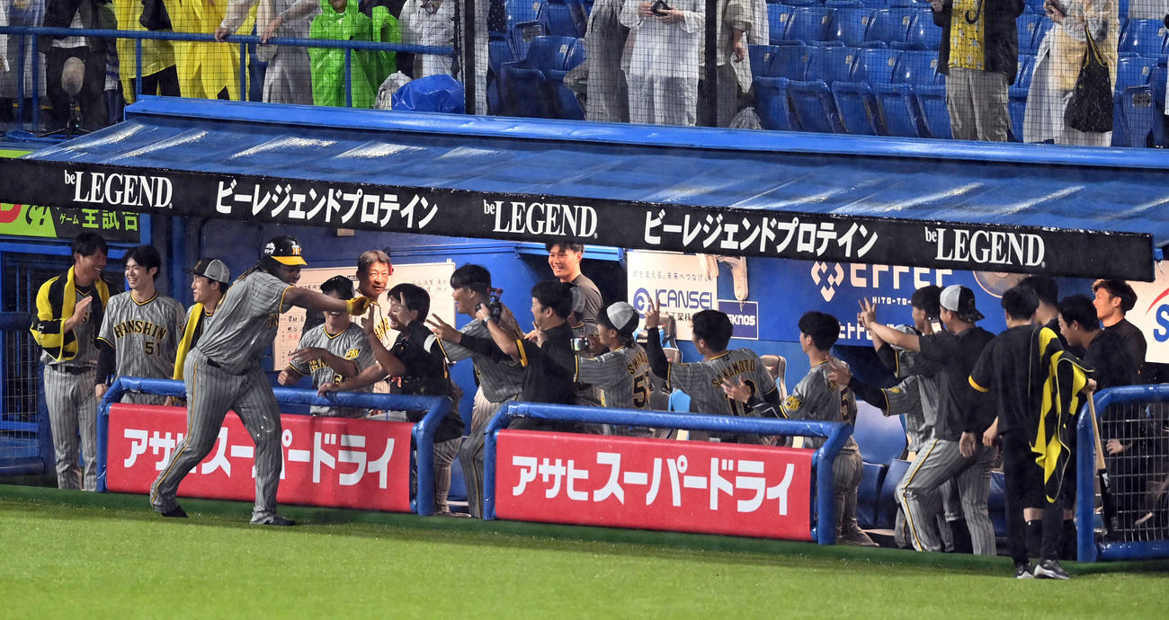 ヤクルト対阪神　ベースランニングで場内を終えた阪神ヨハン・ミエセスは、ナインとハイタッチ（撮影・たえ見朱実）