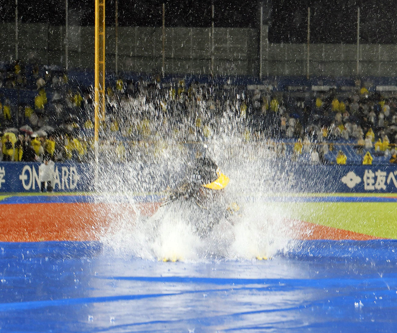 ヤクルト対阪神　雨天中止になり、ファンサービスでダイブする阪神ミエセス（撮影・藤尾明華）
