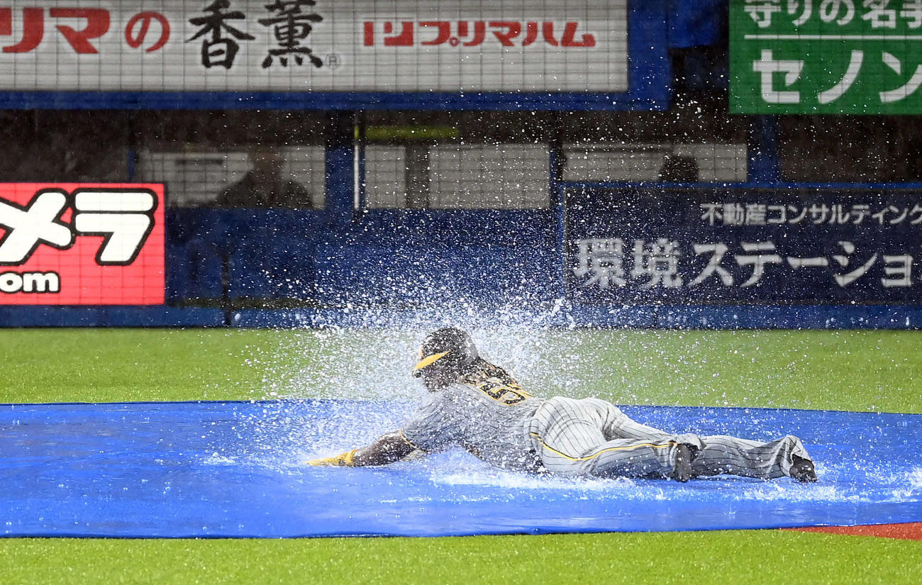 ヤクルト対阪神　雨天中止となり、ベースランニングで場内を沸かせた阪神ミエセス（撮影・たえ見朱実）