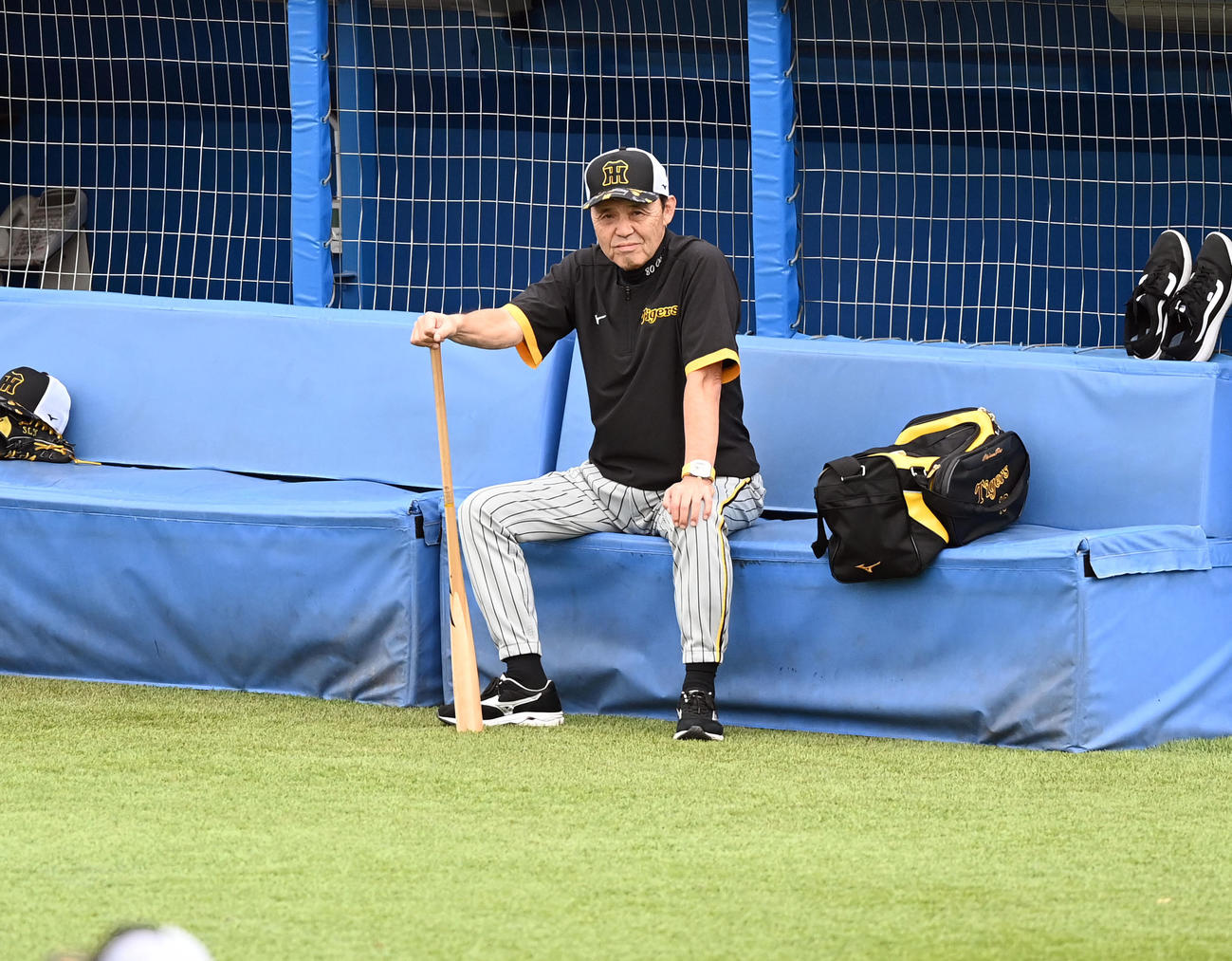 ヤクルト対阪神　練習をする選手の動きを見る阪神岡田監督（撮影・たえ見朱実）