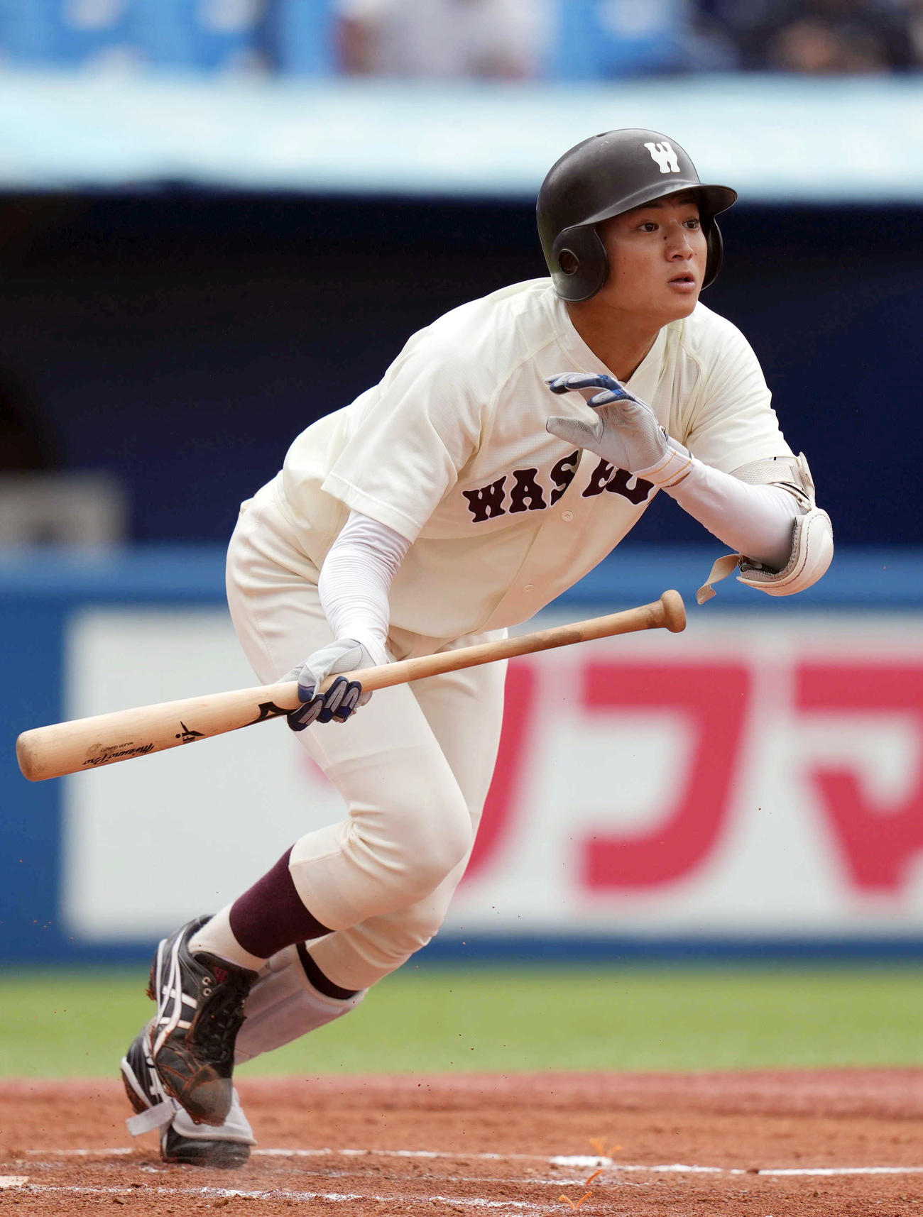 明大対早大　3回裏早大無死一塁、犠打を決める早大・加藤（撮影・狩俣裕三）