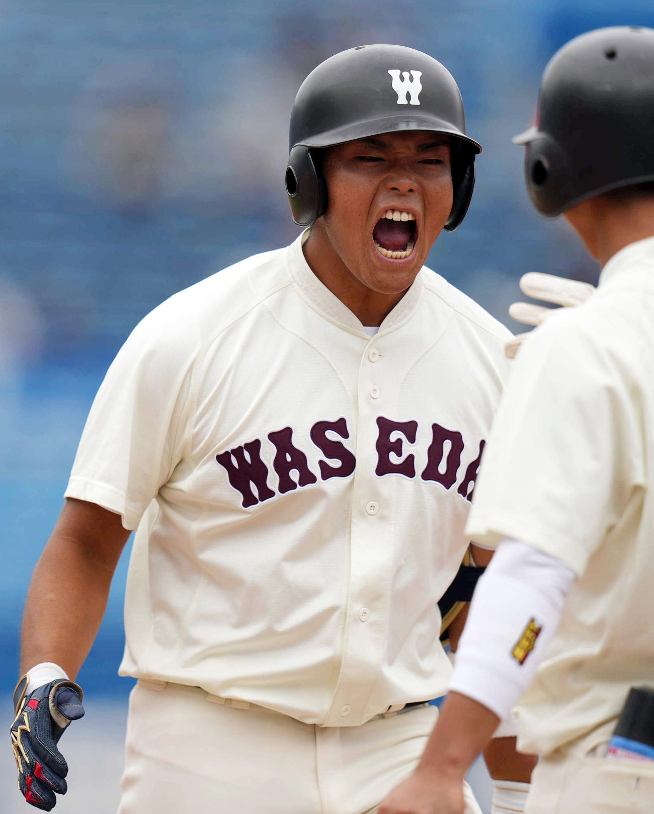 明大対早大　8回裏早大2死一、三塁、適時打を放ち、雄たけびを上げる早大・野村（撮影・狩俣裕三）