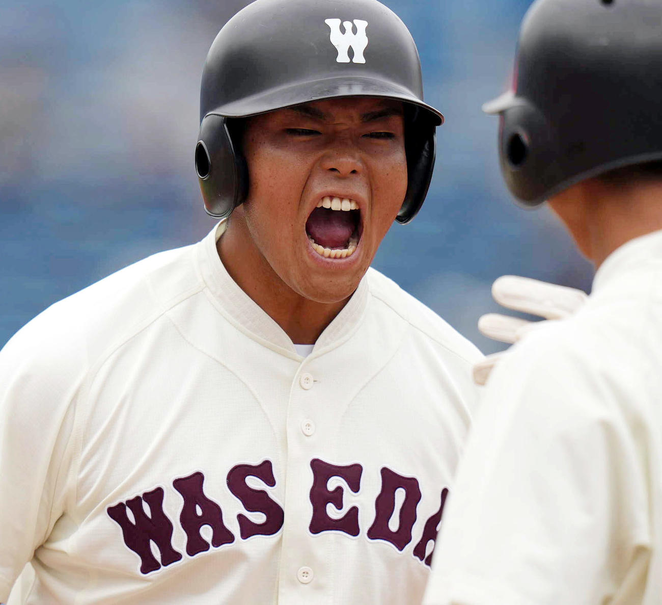 明大対早大　8回裏早大2死一、三塁、適時打を放ち、雄たけびを上げる早大・野村（撮影・狩俣裕三）