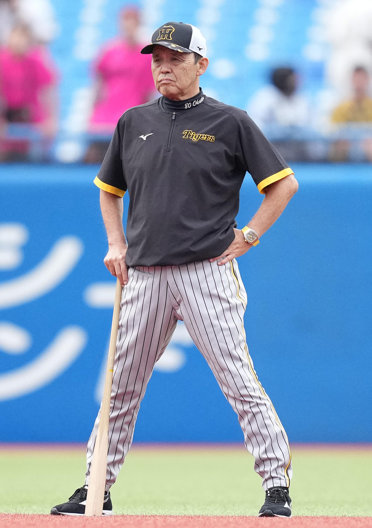 ヤクルト対阪神　試合前練習を見守る阪神岡田監督（撮影・鈴木みどり）