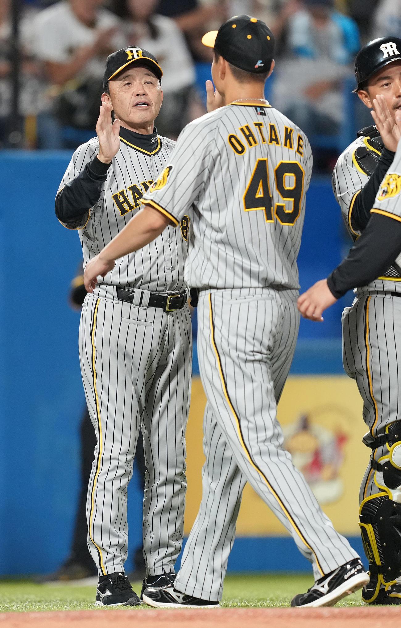 ヤクルト対阪神　ヤクルトに勝利し、大竹を迎える岡田監督（左）（撮影・鈴木みどり）