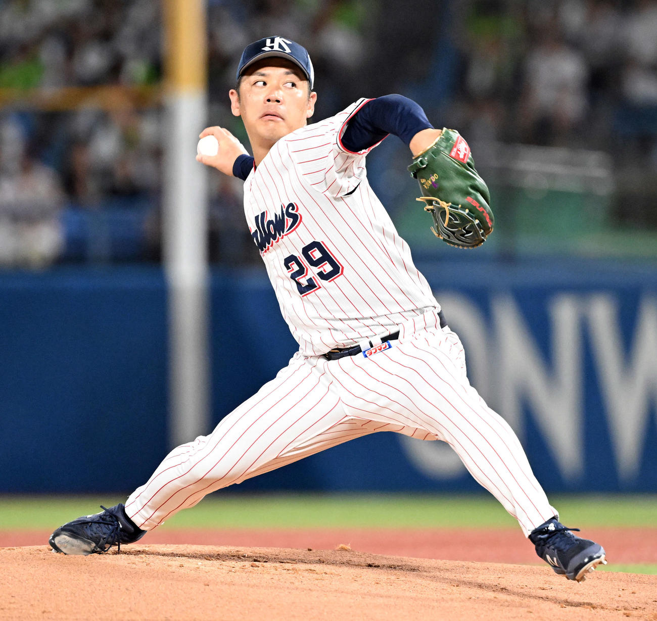 ヤクルト小川泰弘（2023年9月16日撮影）