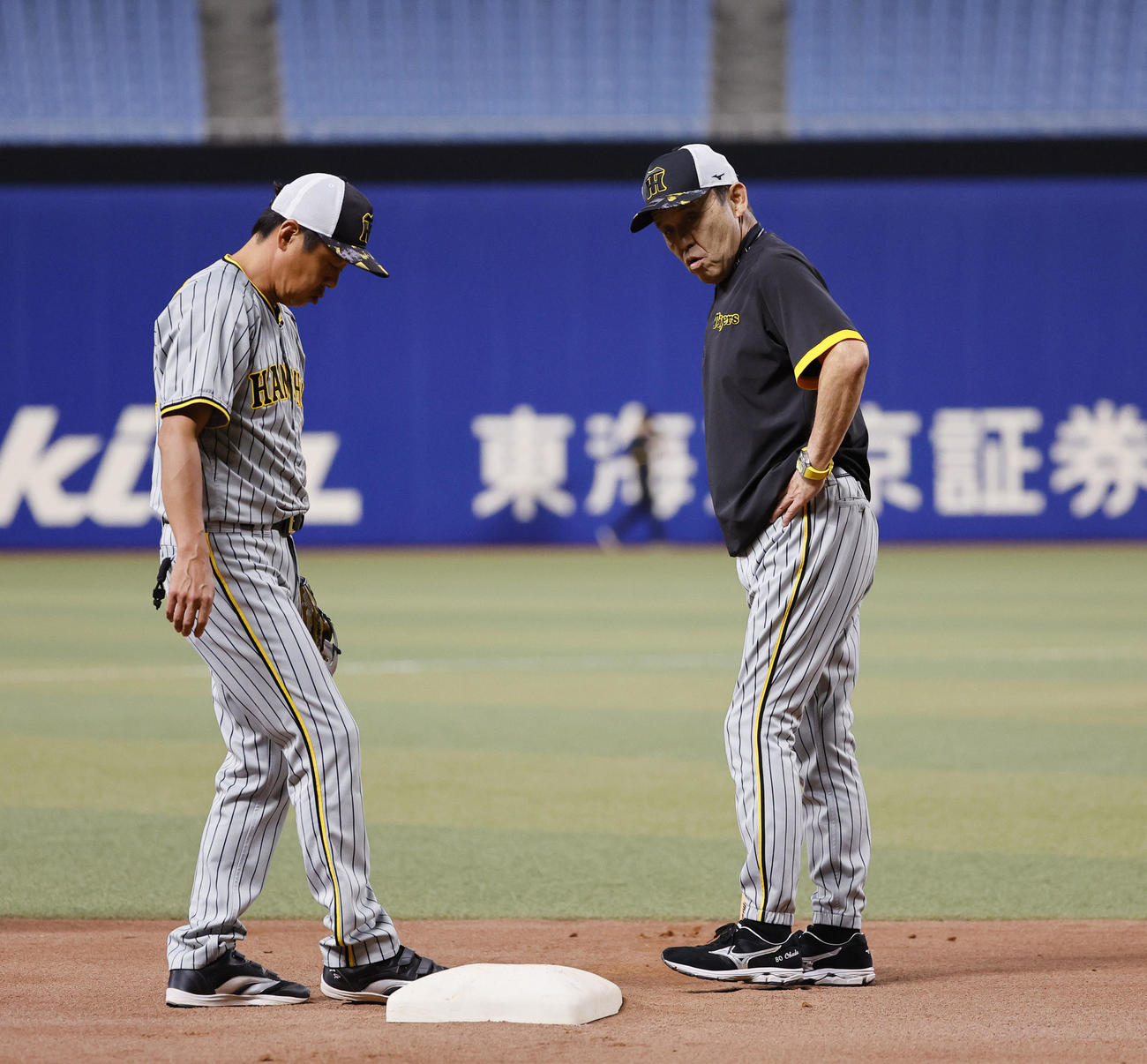 中日対阪神　グラウンドを確認する阪神岡田監督（右）（撮影・藤尾明華）