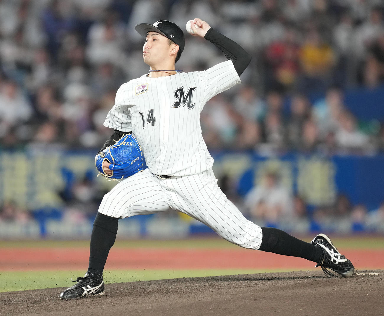 ロッテ対ソフトバンク　先発し力投するロッテ小島（撮影・鈴木みどり）