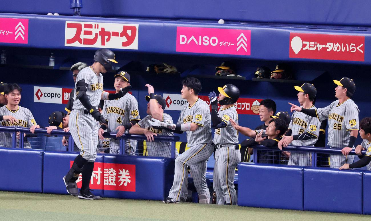 中日対阪神　2回表阪神無死、佐藤輝は左越えソロ本塁打を放ちベンチのナインとタッチする（撮影・加藤哉）