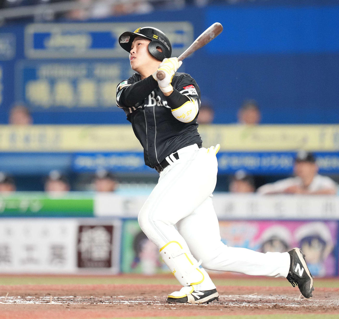 ロッテ対ソフトバンク　5回表ソフトバンク無死、プロ初本塁打の左越えソロ本塁打を放つ井上（撮影・鈴木みどり）